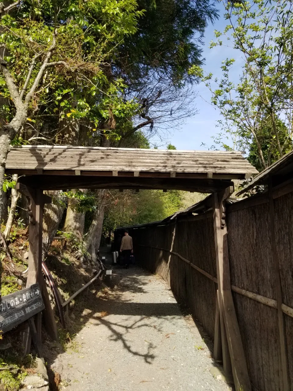 用圣诞节装饰华丽的大厅空间