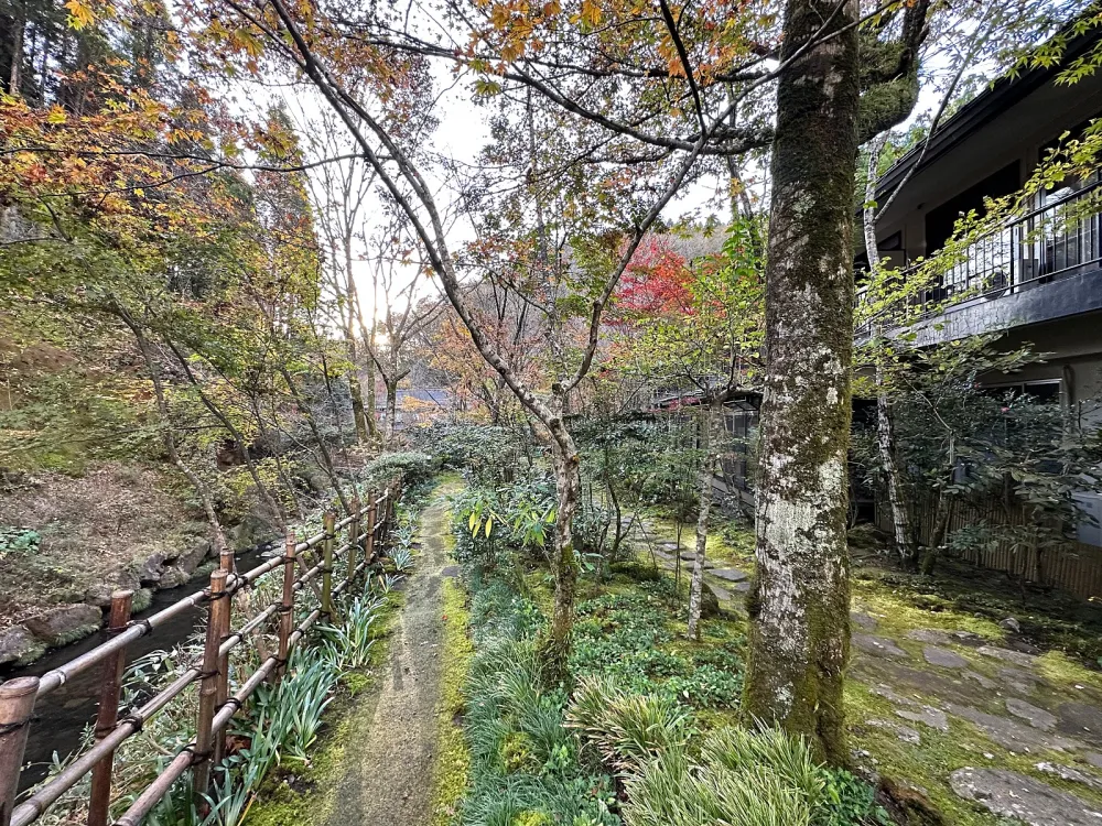 在露臺享受的早餐、新鮮的空氣和美味的食物