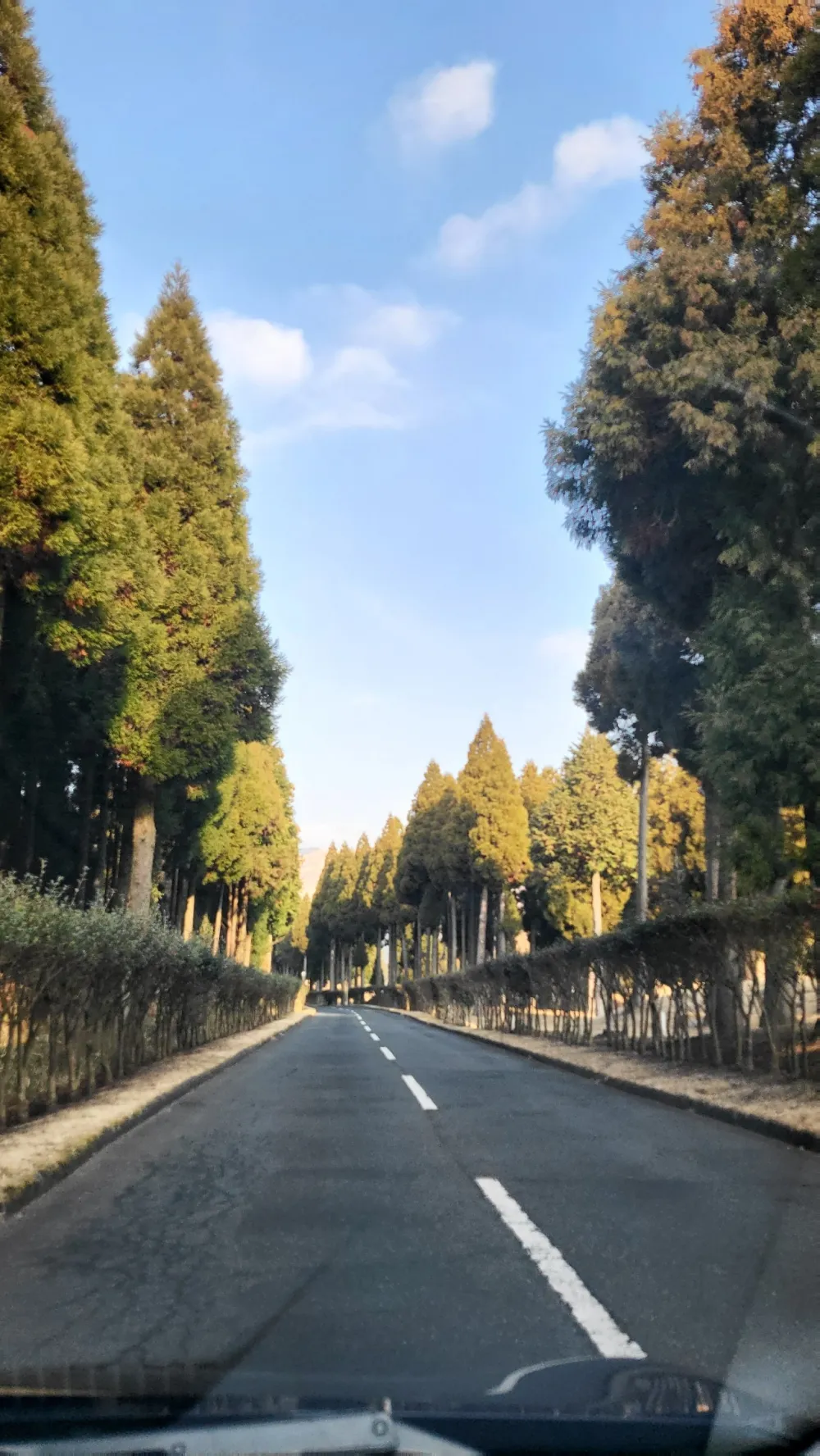 以城市的夜空爲背景，華麗的照明照耀的客房前景