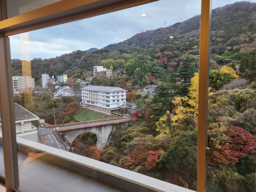 豪華的頂層公寓套房，城市的全景前景