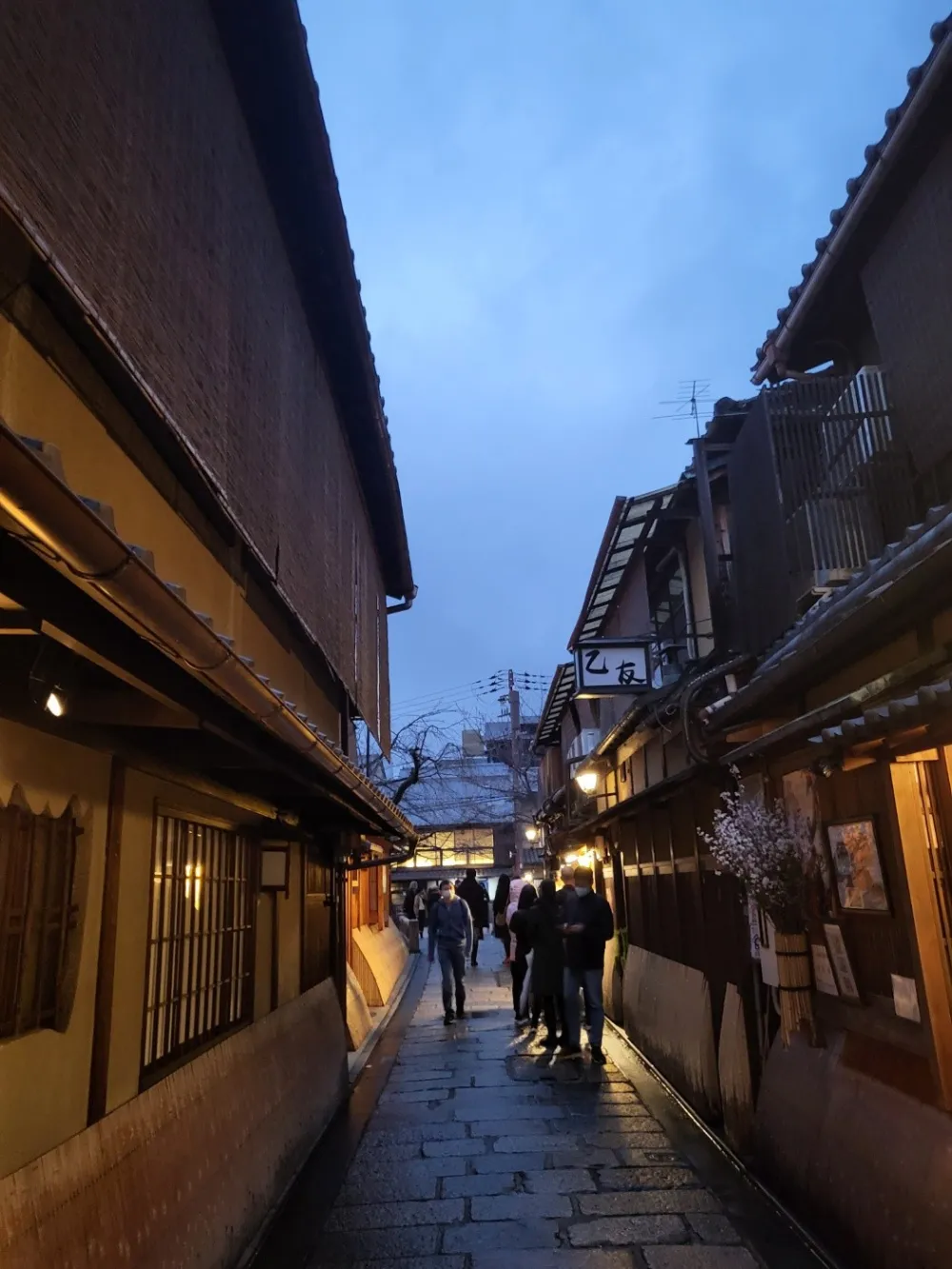 屋頂花園的寧靜氛圍，城市中的自然休息處