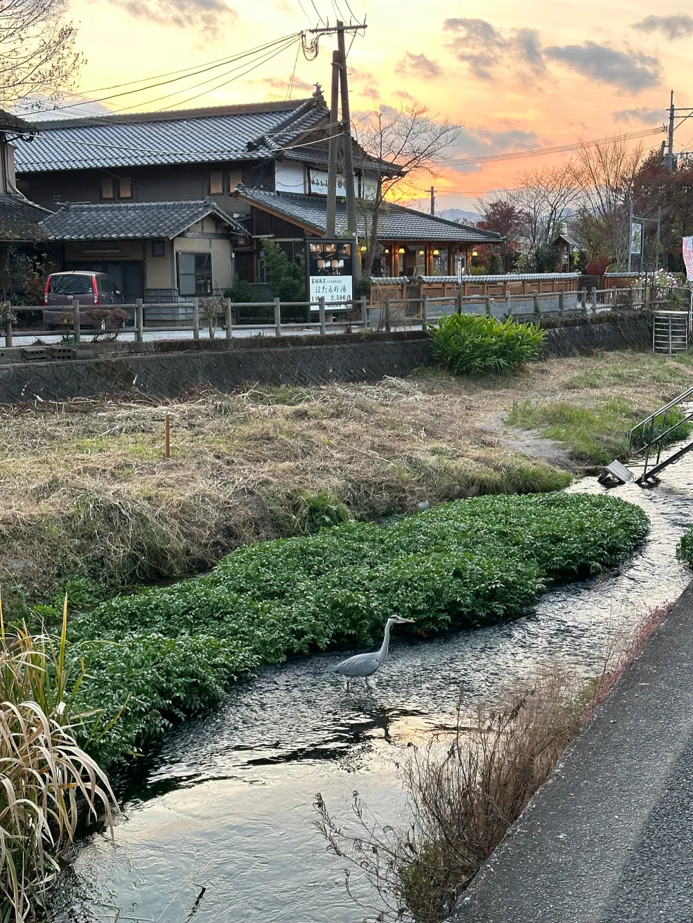 以城市的夜空爲背景，華麗的照明照耀的客房前景