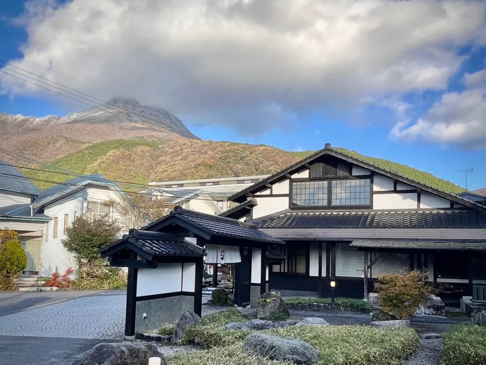 屋頂花園的寧靜氛圍，城市中的自然休息處