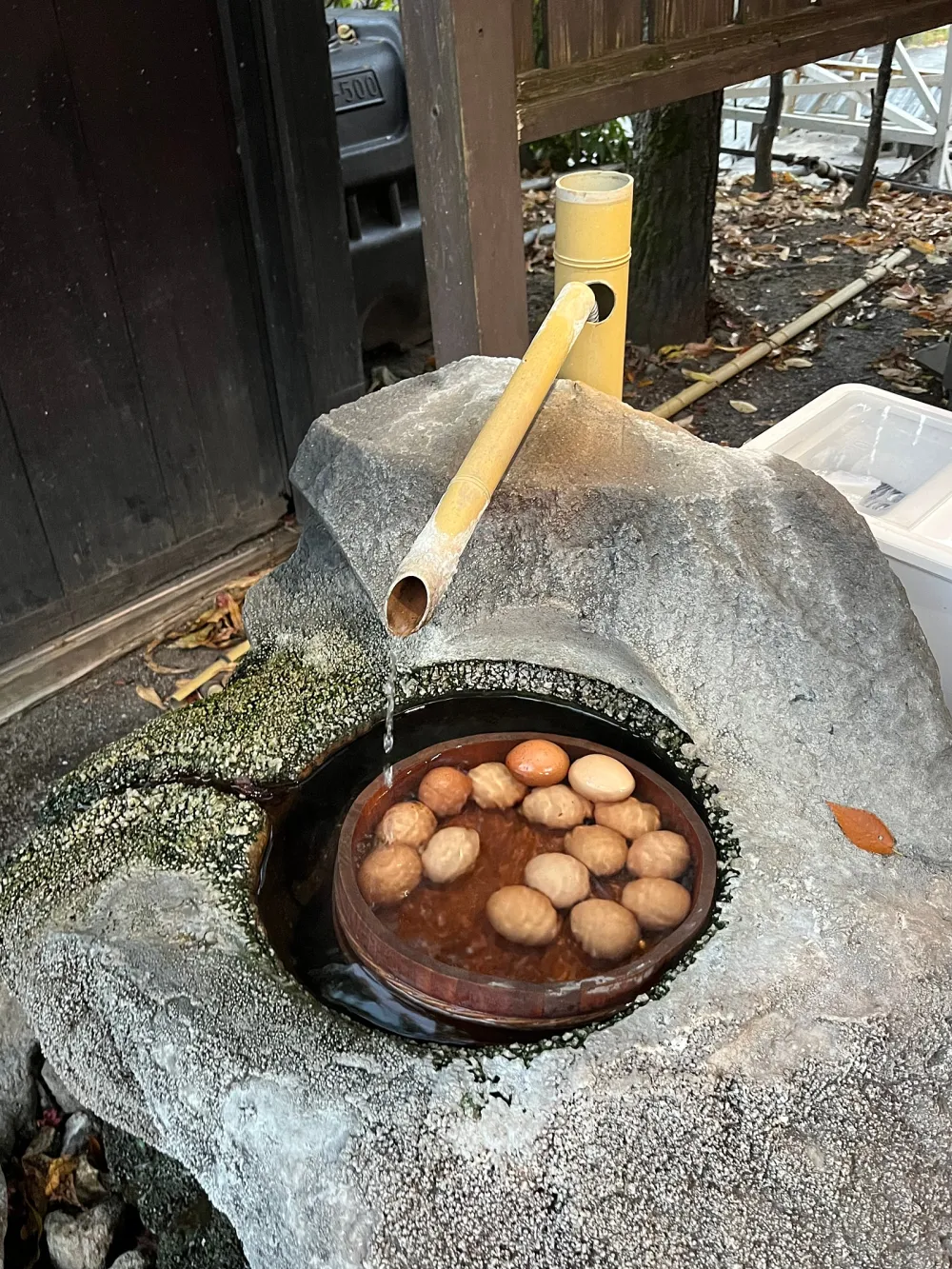 室外游泳池的陽光，在涼爽的水中愉快地游泳