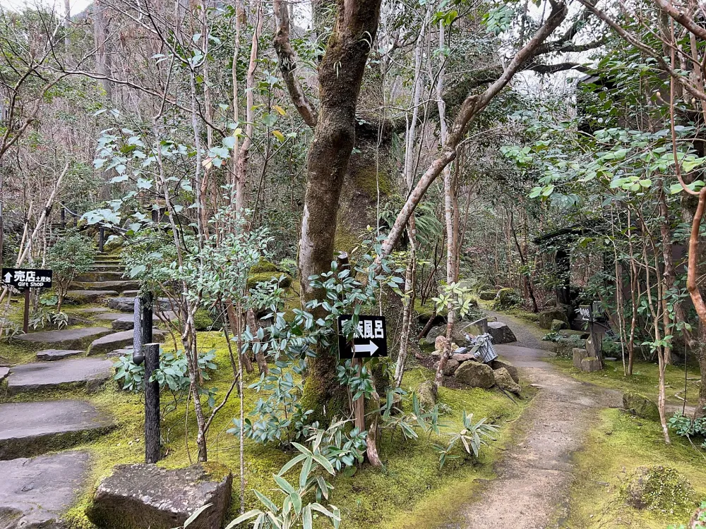 城市中心宿舍的瞭望臺，寬敞的窗戶對面是城市天際線。