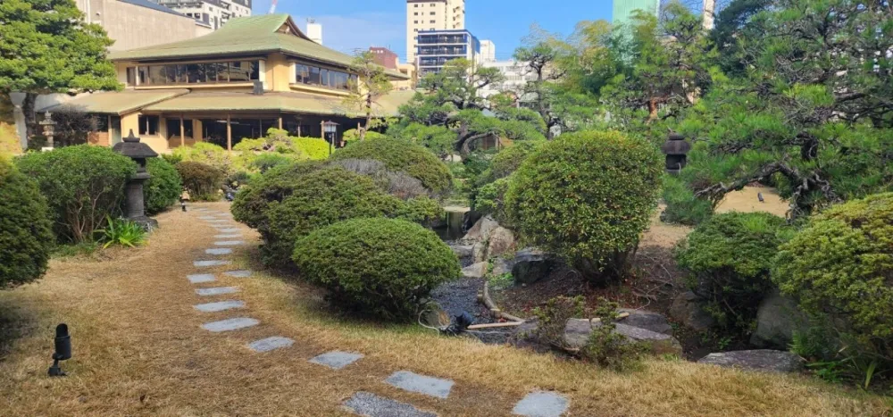 酒店的室外游泳池，城市中的綠洲。