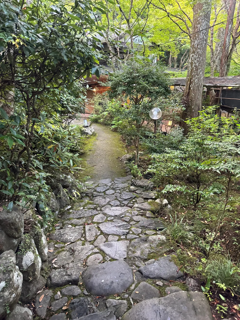 豪華的頂層公寓套房，城市的全景前景