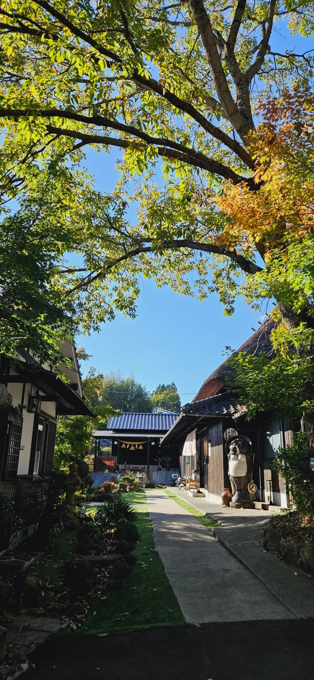 酒店的室外游泳池，城市中的綠洲。