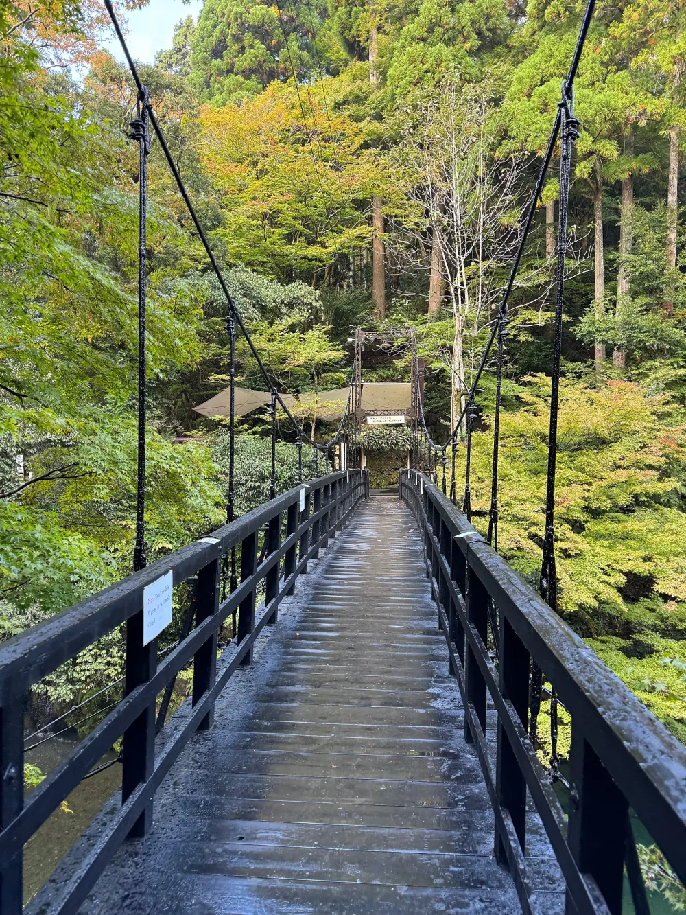 宿舍的休閒餐廳，提供風味十足的料理