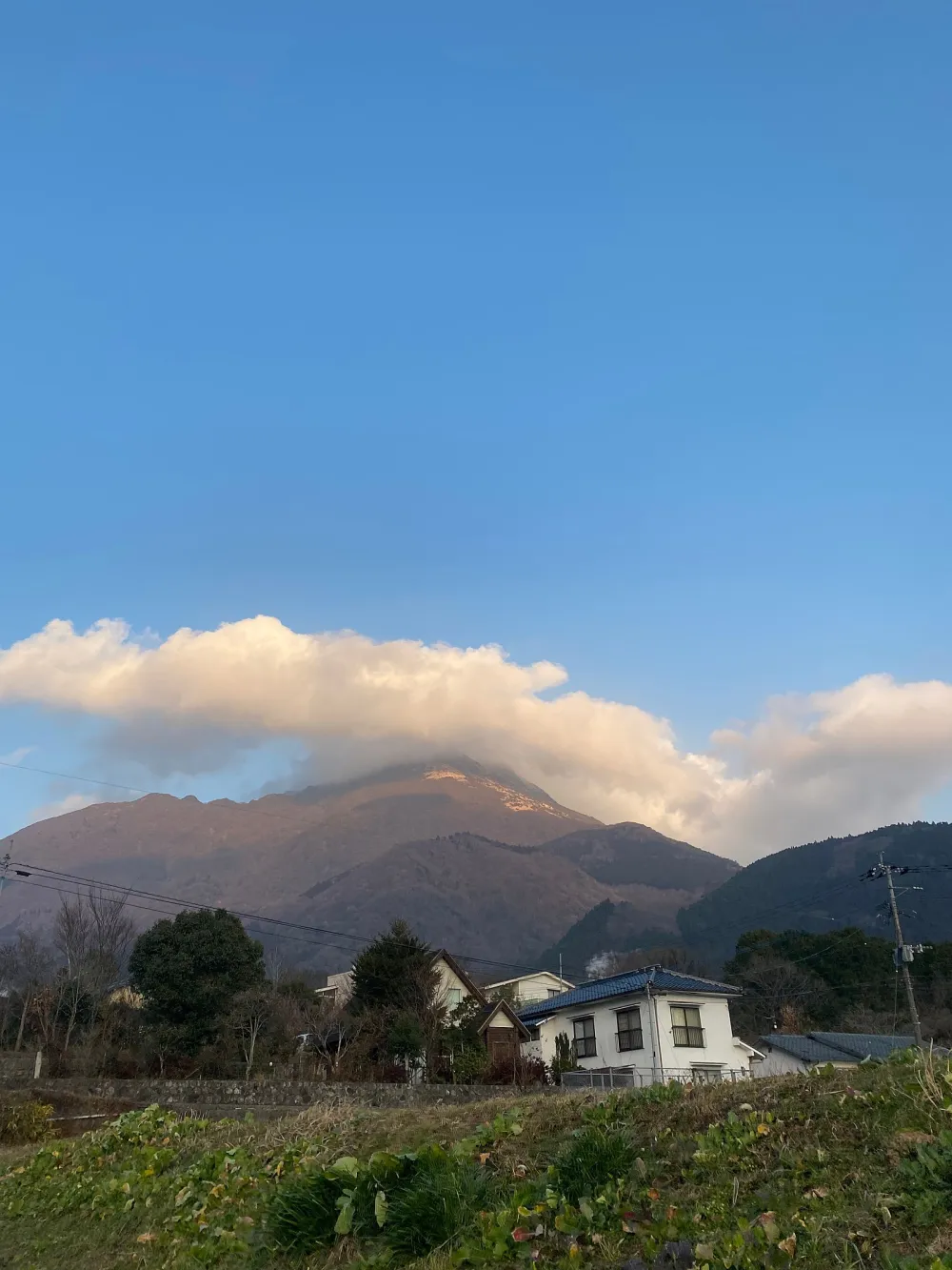 能夠眺望美麗山景的客房，充滿了自然的美麗。