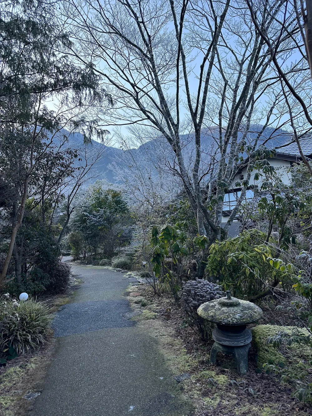 望着美麗的海邊的客房，伴隨着平和的海浪聲