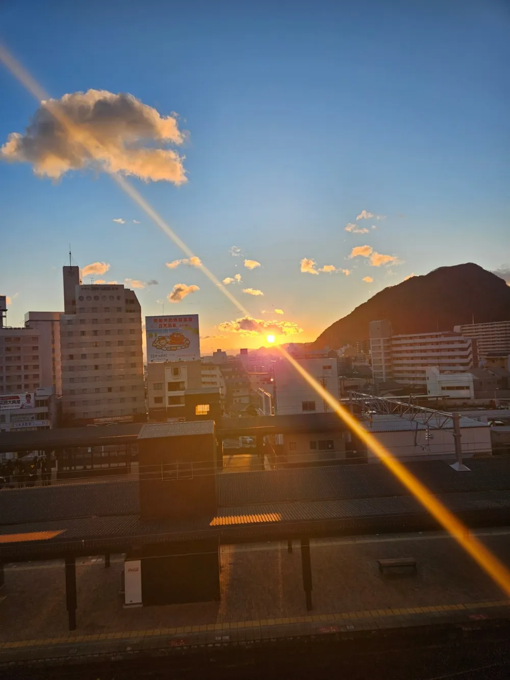 酒店的室外游泳池，城市中的綠洲。