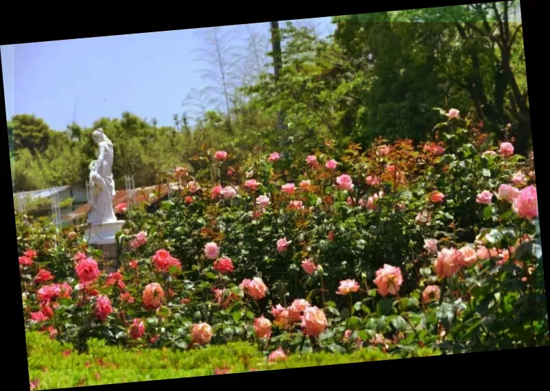 Kujukushima Zoo Botanical Gardens Mori Kirara