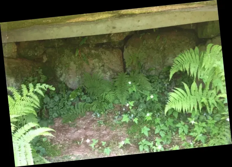 Tregiffian Burial Chamber