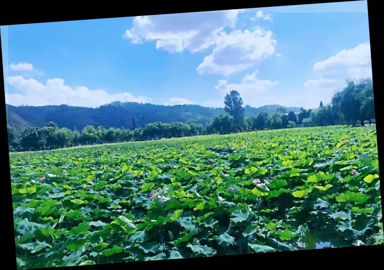 단산 민주