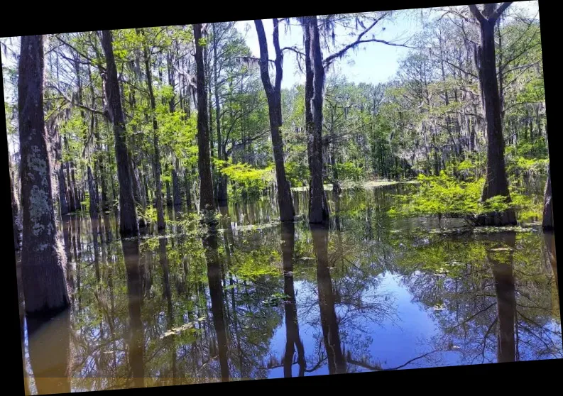 Atchafalaya Welcome Center