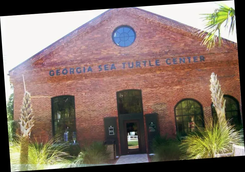 Georgia Sea Turtle Center