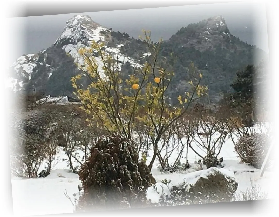 ____________image_4.webp