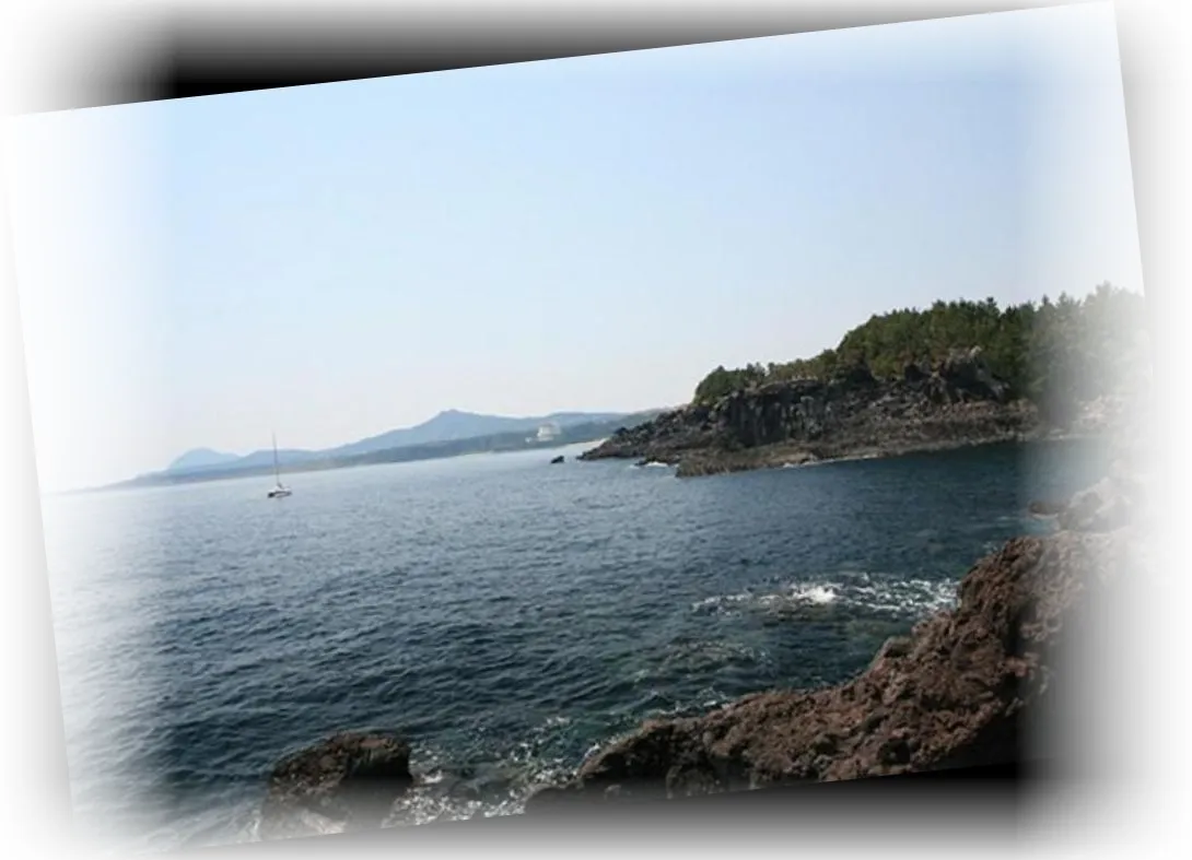 _________image_8.webp
