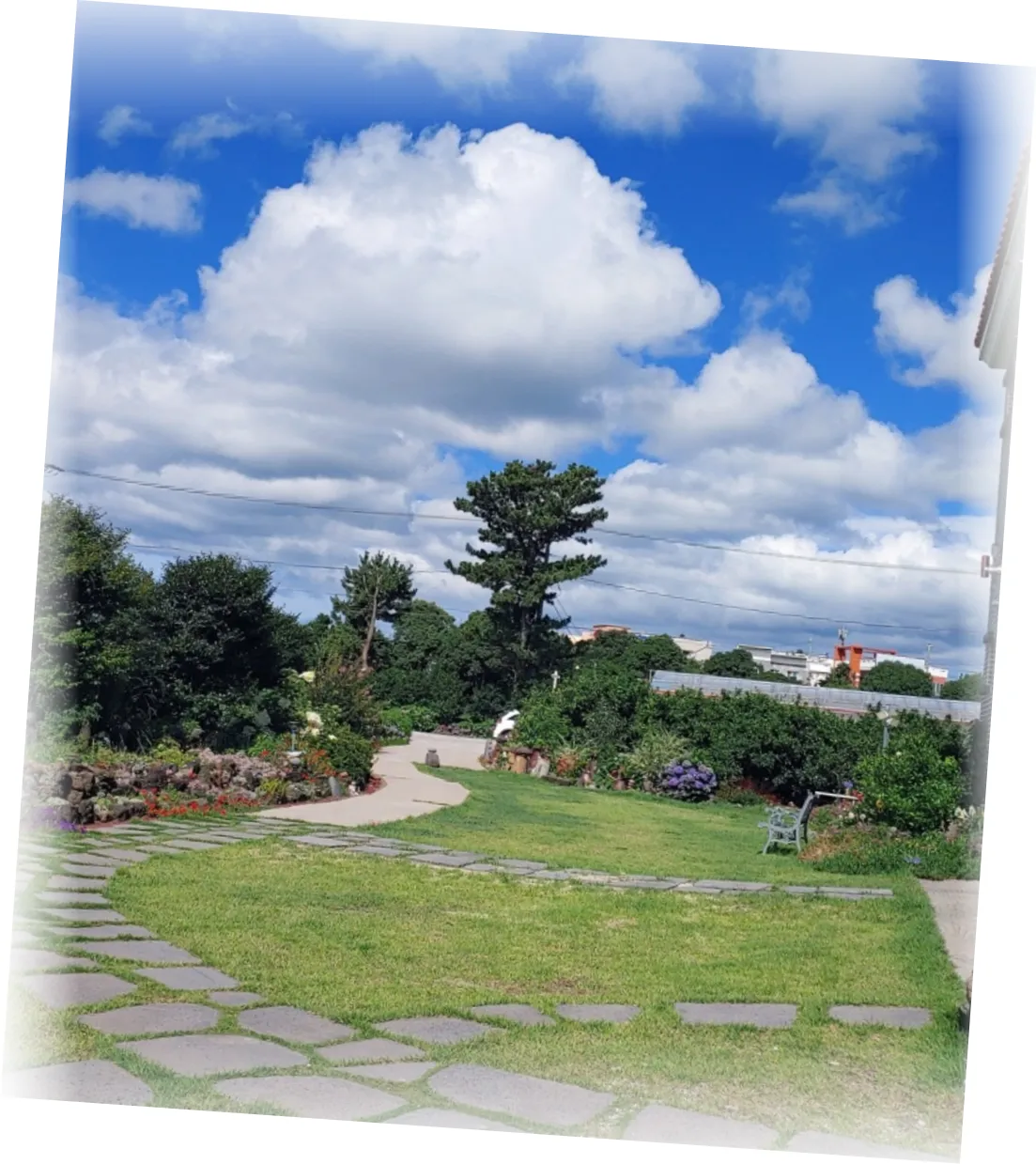 ____________image_8.webp