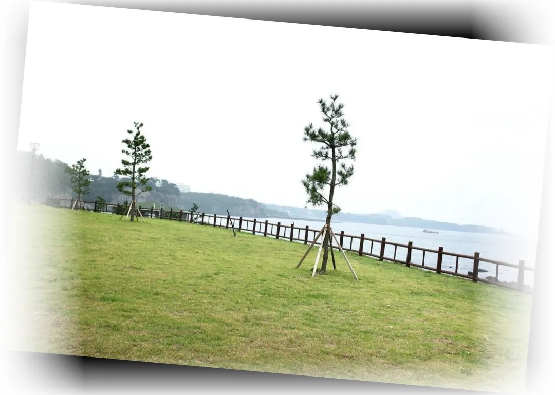 ________image_9.webp